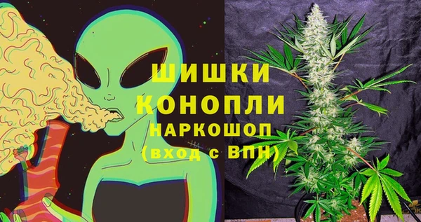 сатива Гусев