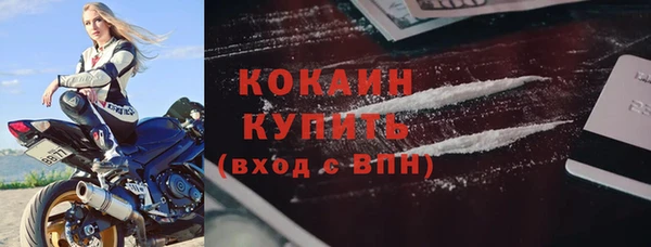 сатива Гусев