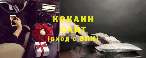 ГАЛЛЮЦИНОГЕННЫЕ ГРИБЫ Гусиноозёрск
