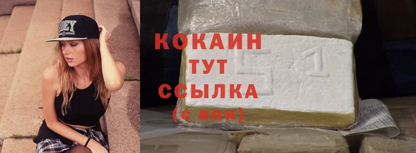 ГАЛЛЮЦИНОГЕННЫЕ ГРИБЫ Гусиноозёрск