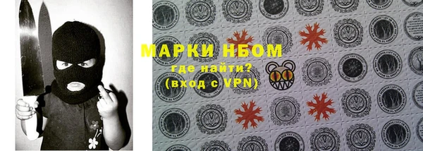 ГАЛЛЮЦИНОГЕННЫЕ ГРИБЫ Гусиноозёрск