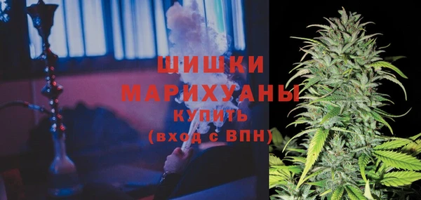 твердый Гусь-Хрустальный